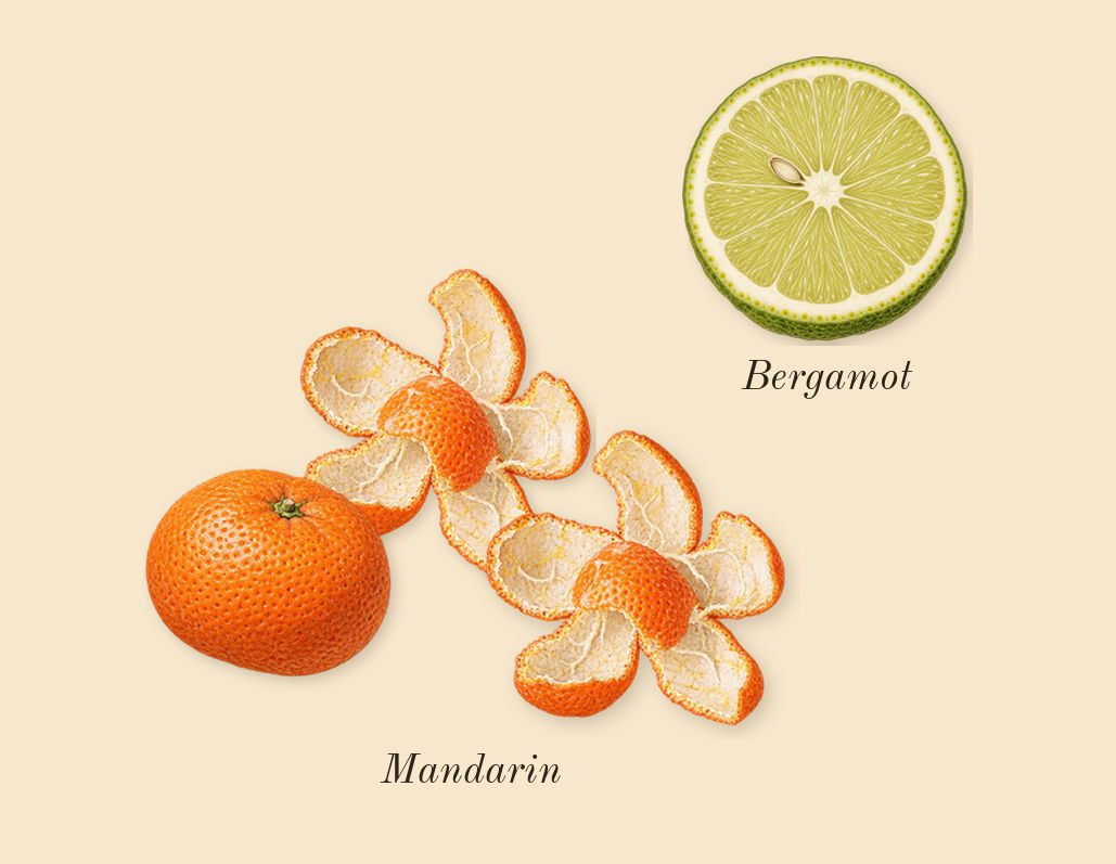 Fahrenheit, top notes: Mandarin, Bergamot