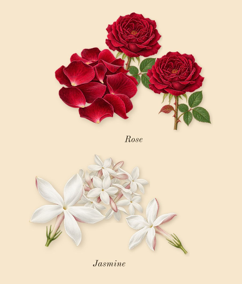 Gris Dior, heart: Rose, Jasmine
