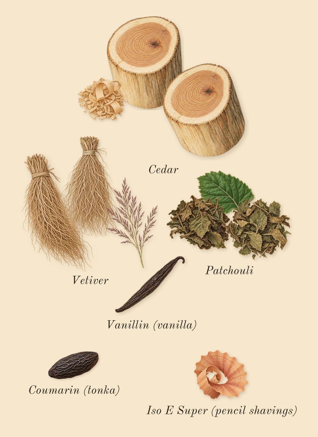 Homme, dry-down: Cedar, Patchouli, Vetiver, Iso E Super (pencil shavings), Coumarin (tonka), Vanillin (vanilla)