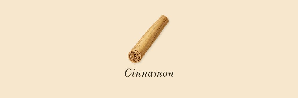 Homme Sport, heart: Cinnamon