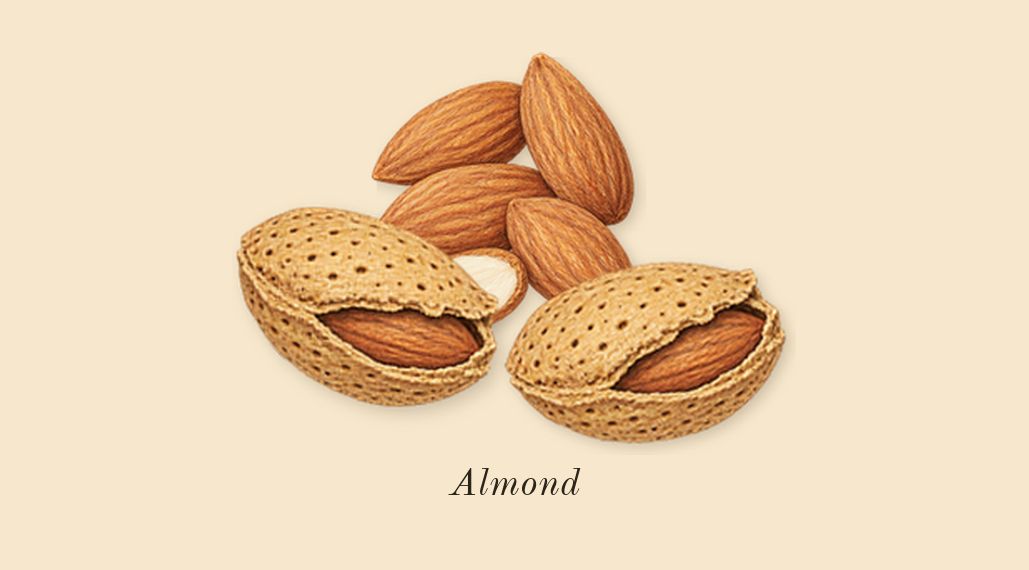 Hypnotic Poison, top notes: Almond