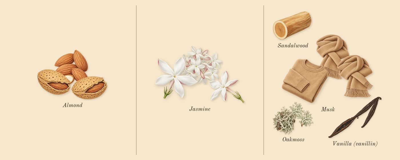Hypnotic Poison’s scent picture, a draft: almond, jasmine, vanilla (vanillin), oakmoss, musk, sandalwood drawn so far; dashed outlines where nothing is drawn yet