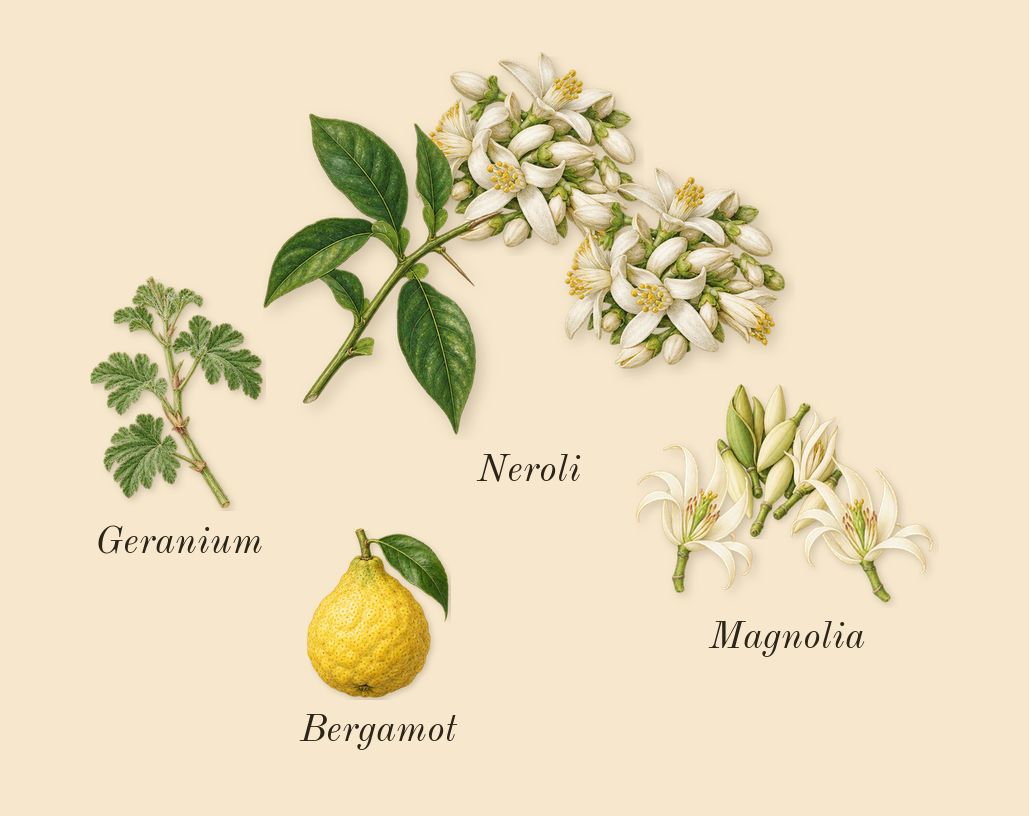 J'adore Parfum d'eau, top notes: Neroli, Magnolia, Bergamot, Geranium