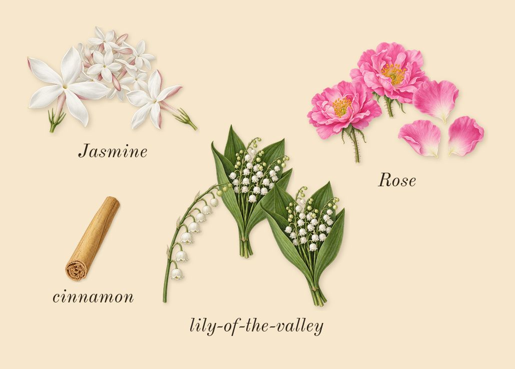 J'adore, heart: Rose, Jasmine, lily-of-the-valley, cinnamon