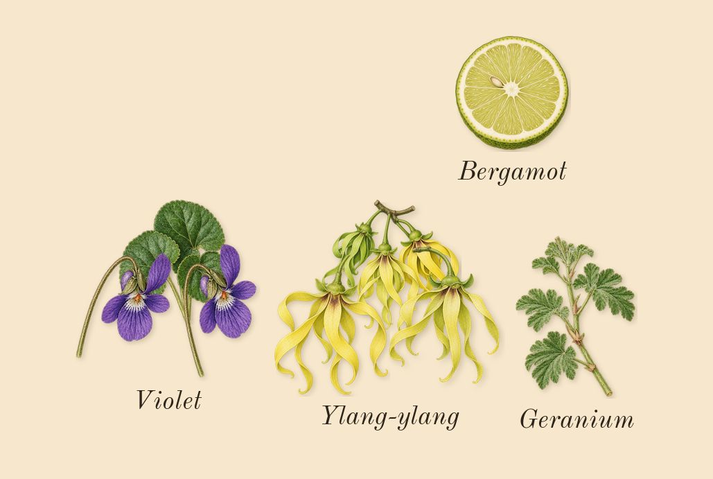 J'adore, top notes: Ylang-ylang, Violet, Bergamot, Geranium