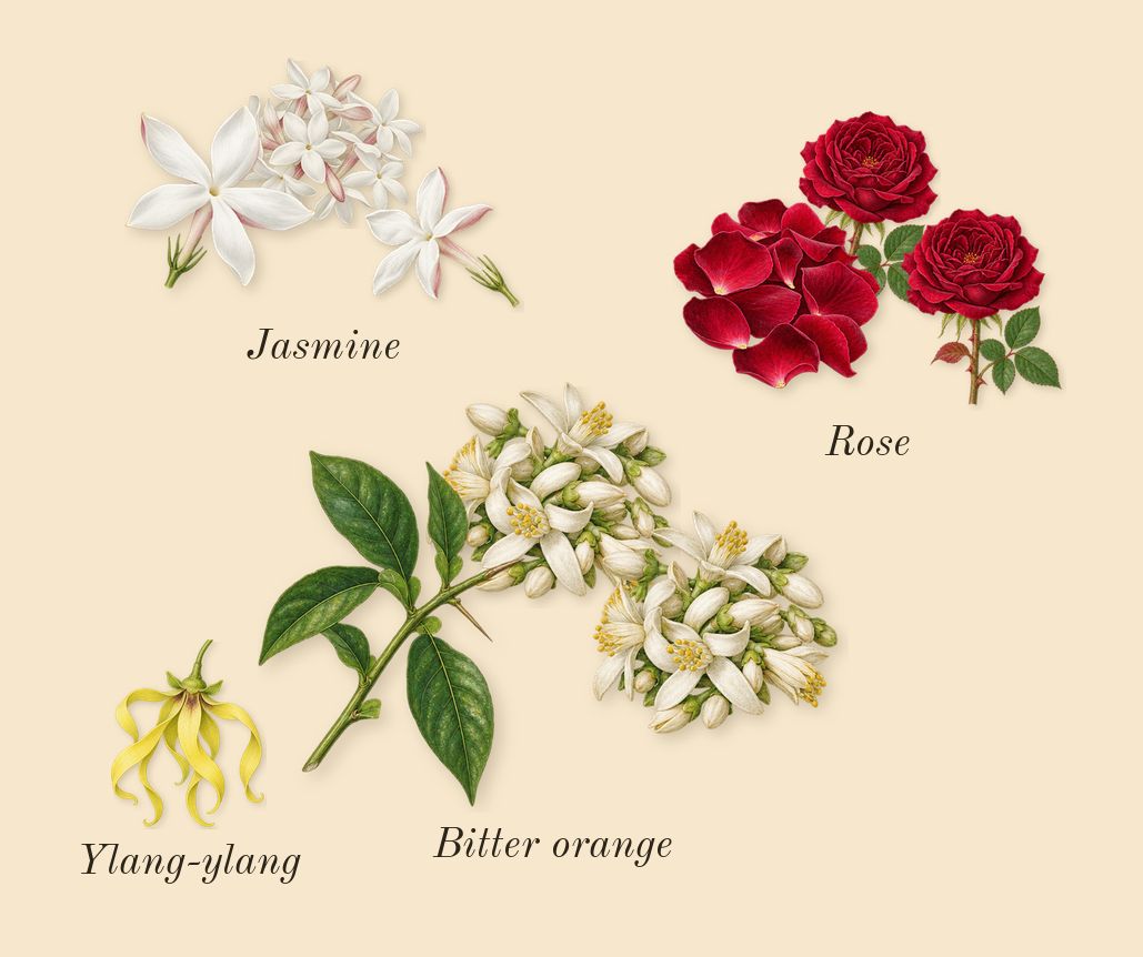 L'Or de J'adore, heart: Bitter orange, Jasmine, Rose, Ylang-ylang