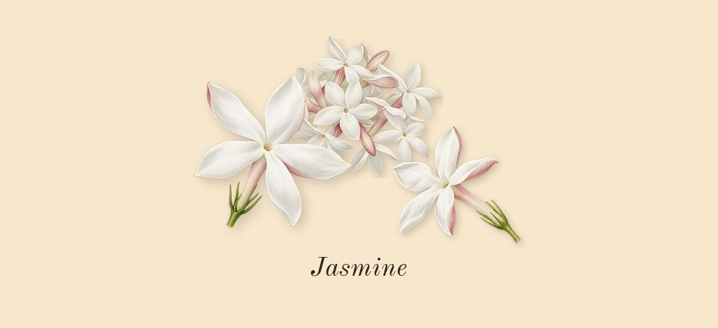 Miss Dior Essence, heart: Jasmine