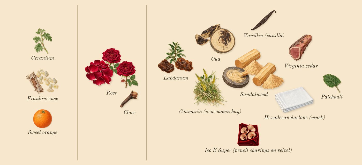 Oud Ispahan’s scent picture, a draft: oud, rose, frankincense, labdanum, sandalwood, virginia cedar drawn so far; dashed outlines where nothing is drawn yet