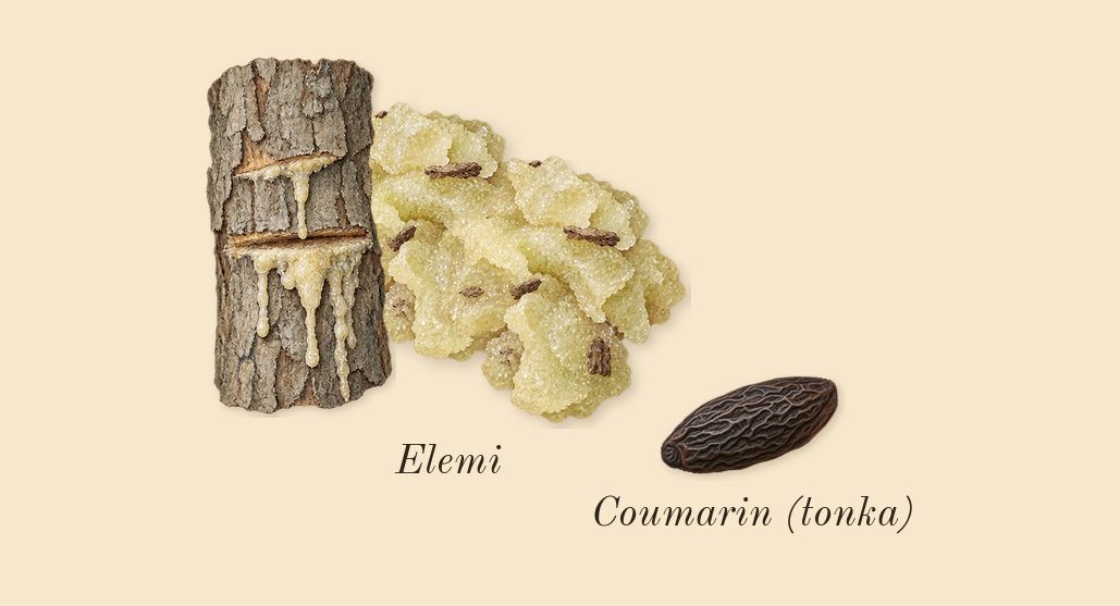 Sauvage Eau Forte, dry-down: Elemi, Coumarin (tonka)