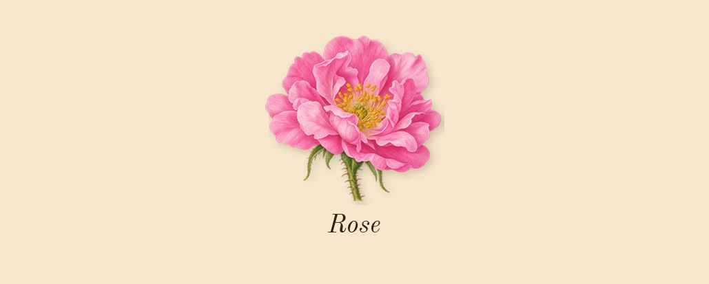 Sauvage, heart: Rose