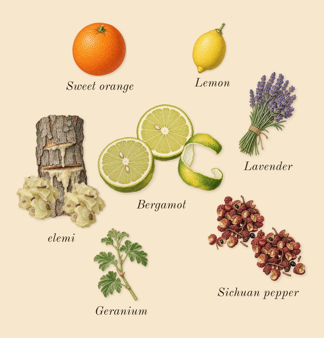 Sauvage, top notes: Bergamot, elemi, Sichuan pepper, Lemon, Lavender, Geranium, Sweet orange