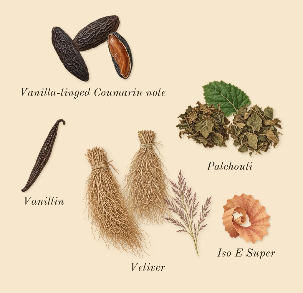 Sauvage, dry-down: Vanilla-tinged Coumarin note, Vetiver, Patchouli, Iso E Super, Vanillin