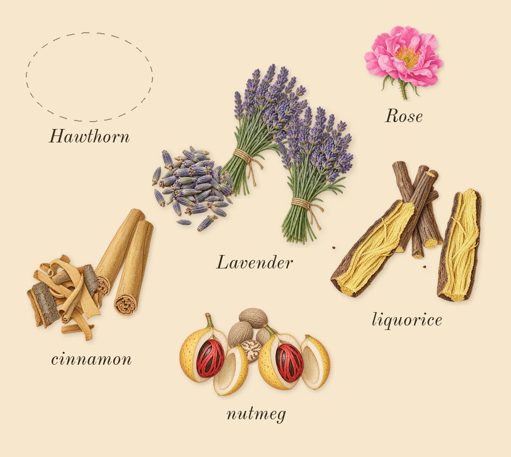 Sauvage, heart: Lavender, cinnamon, nutmeg, liquorice, Hawthorn, Rose