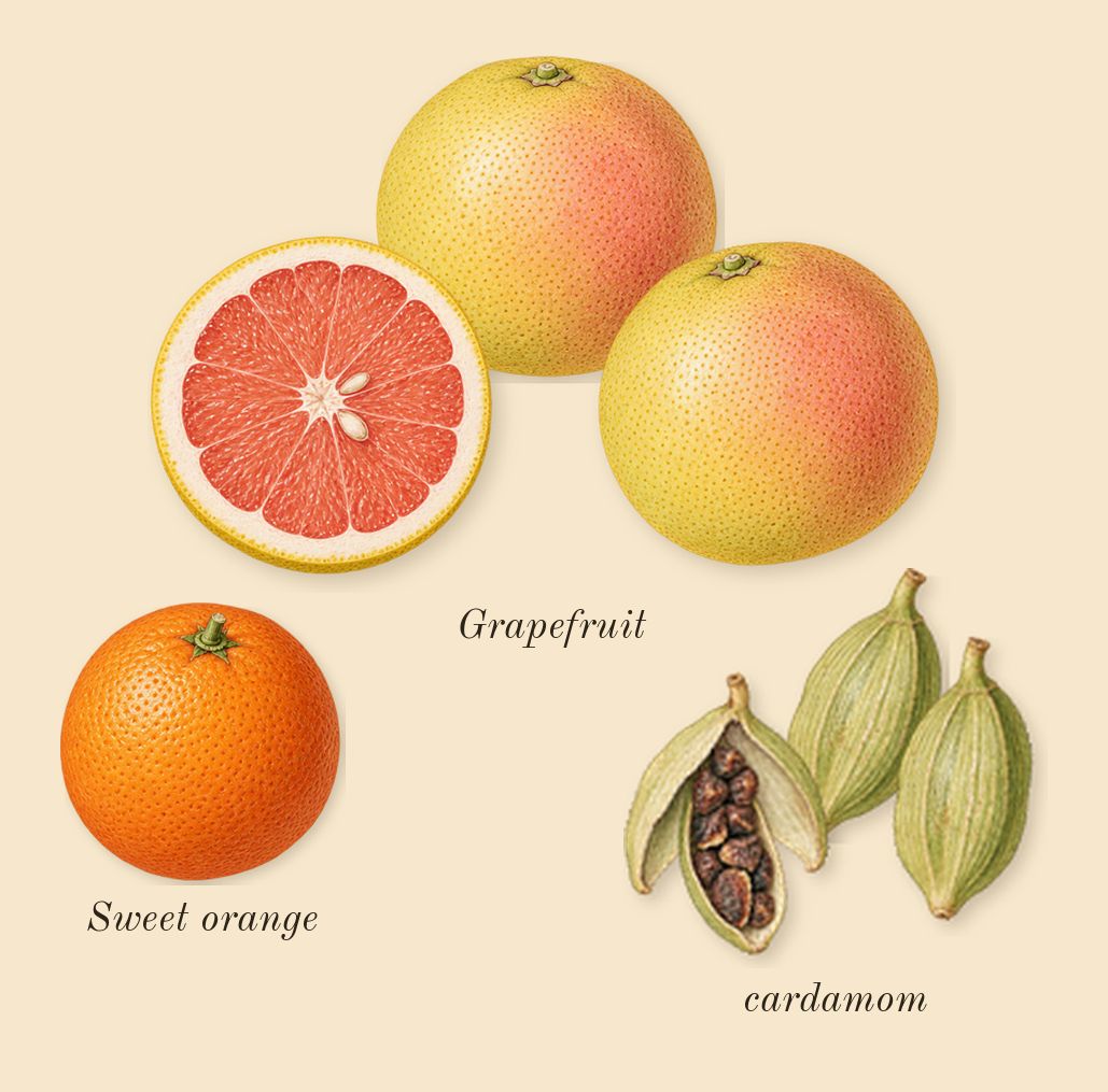 Sauvage, top notes: Grapefruit, cardamom, Sweet orange