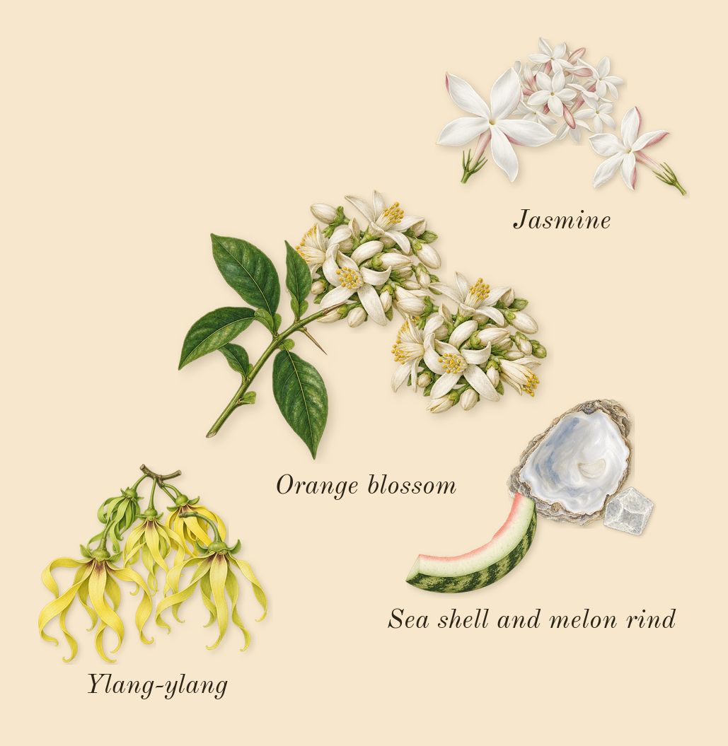 Do Son, heart: Orange blossom, Jasmine, Sea shell and melon rind, Ylang-ylang