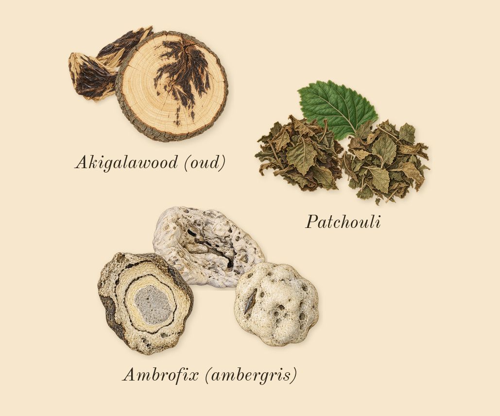 Eau Capitale, dry-down: Patchouli, Akigalawood (oud), Ambrofix (ambergris)