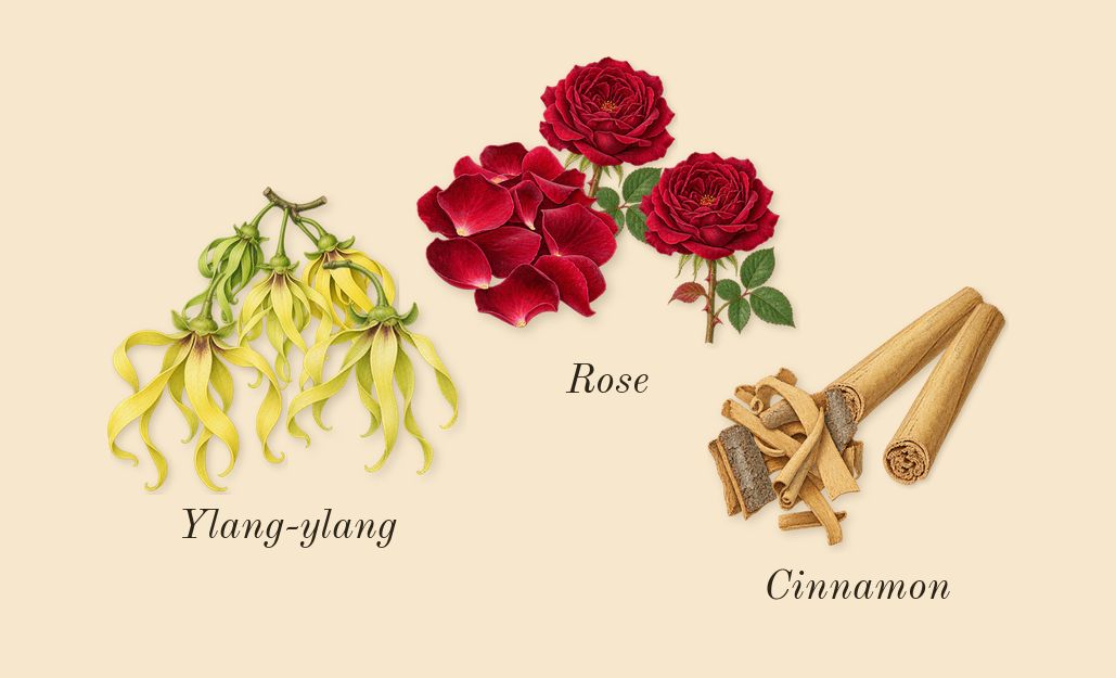Eau Capitale, heart: Rose, Ylang-ylang, Cinnamon