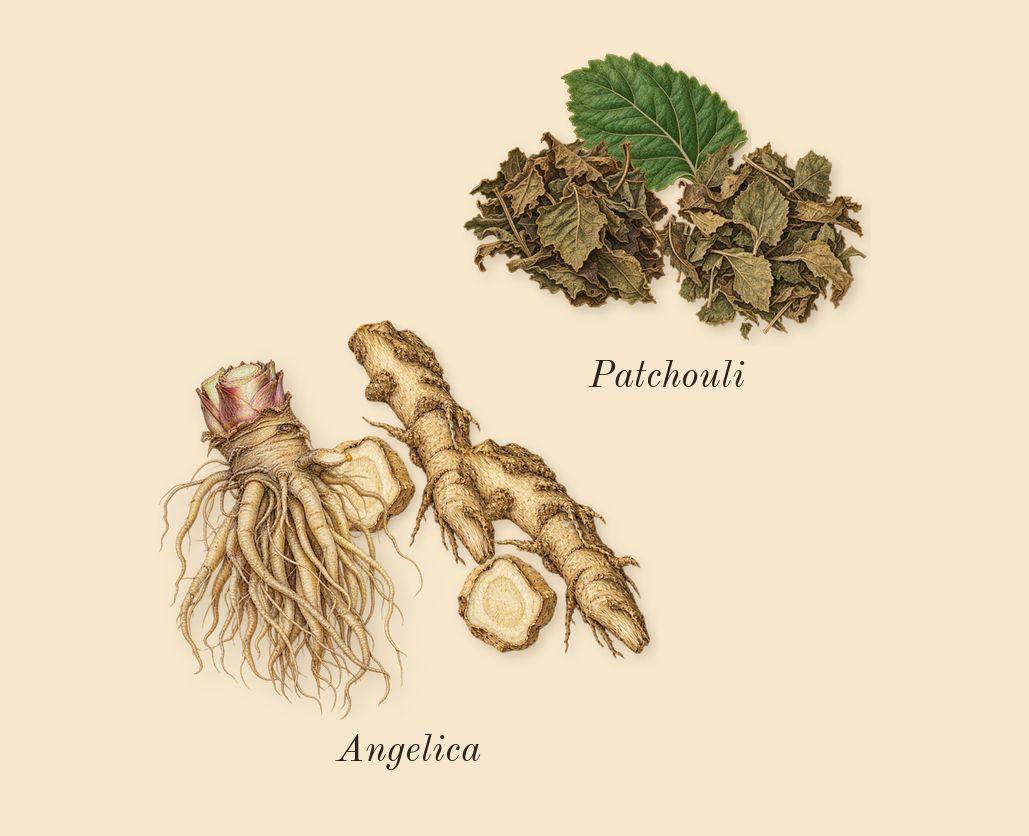 Eau des Sens, dry-down: Angelica, Patchouli