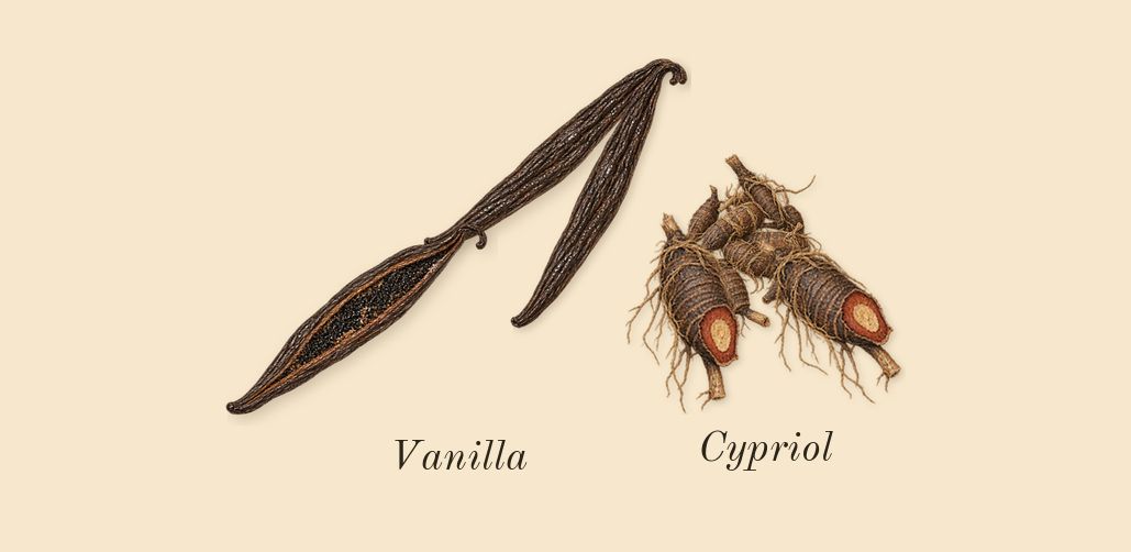 Eau Duelle, dry-down: Vanilla, Cypriol