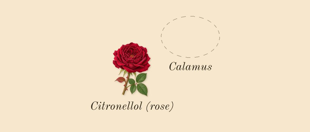 Eau Duelle, heart: Calamus, Citronellol (rose)