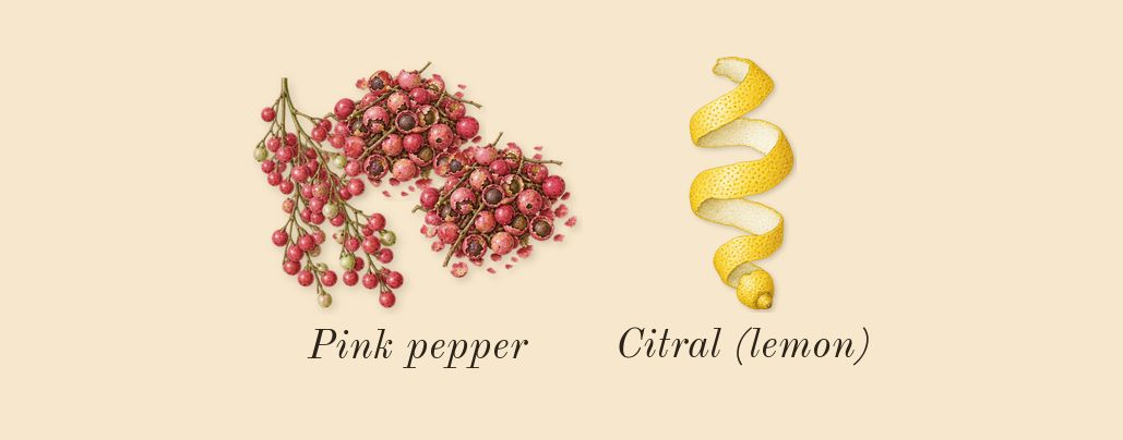 Eau Duelle, top notes: Pink pepper, Citral (lemon)