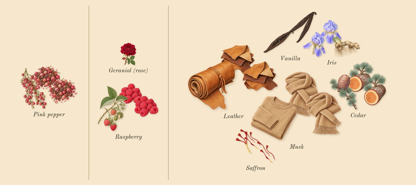 Eau Rihla’s scent picture, a draft: leather, iris, cedar, raspberry, pink pepper, vanilla drawn so far; dashed outlines where nothing is drawn yet
