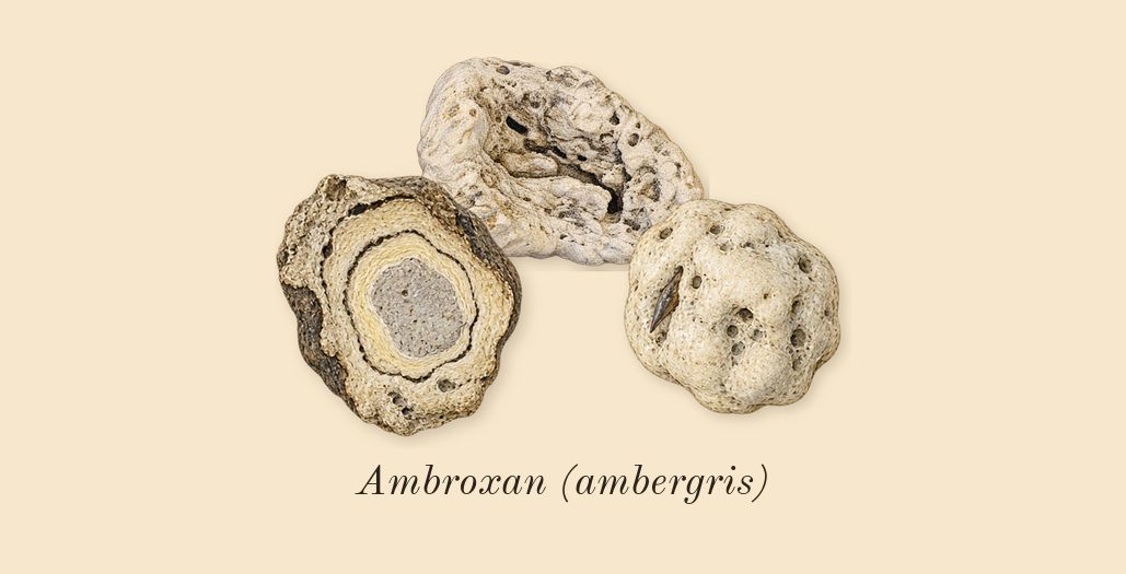 Eau Rose, dry-down: Ambroxan (ambergris)
