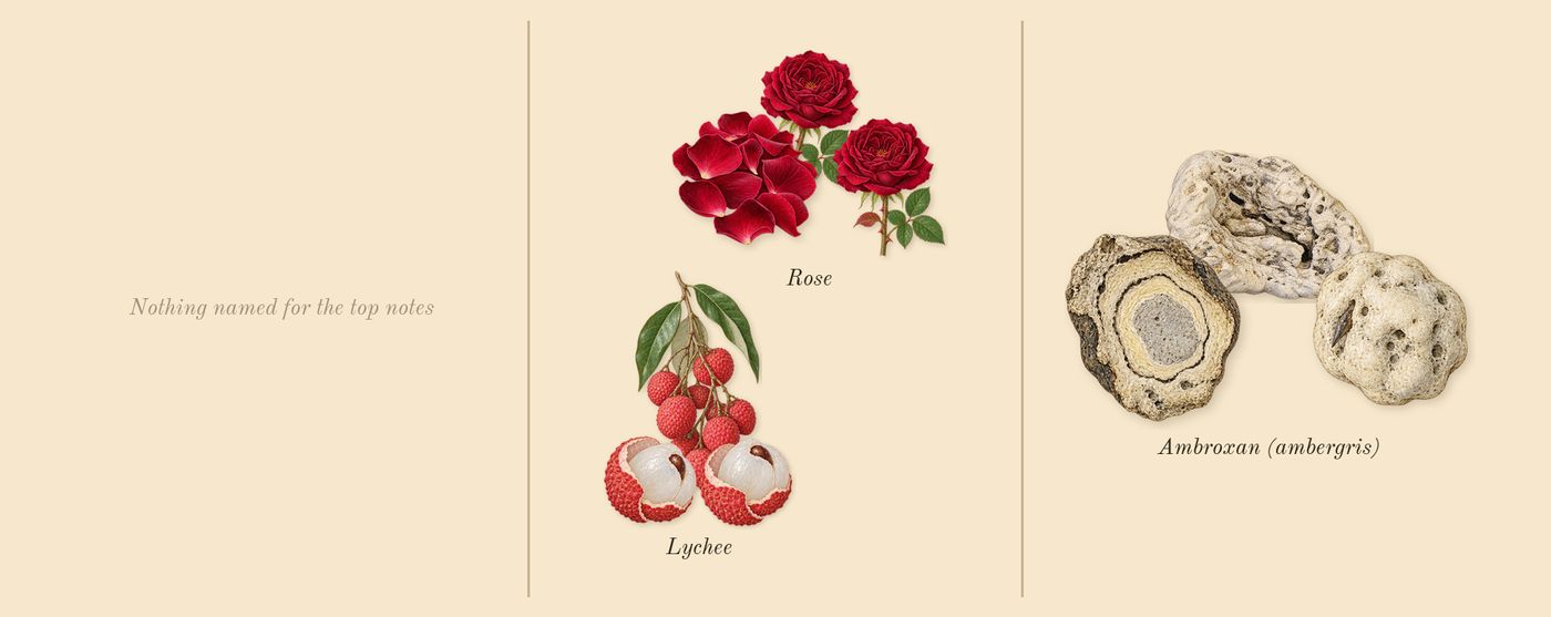 Eau Rose’s scent picture, a draft: rose, lychee, ambroxan (ambergris) drawn so far; dashed outlines where nothing is drawn yet