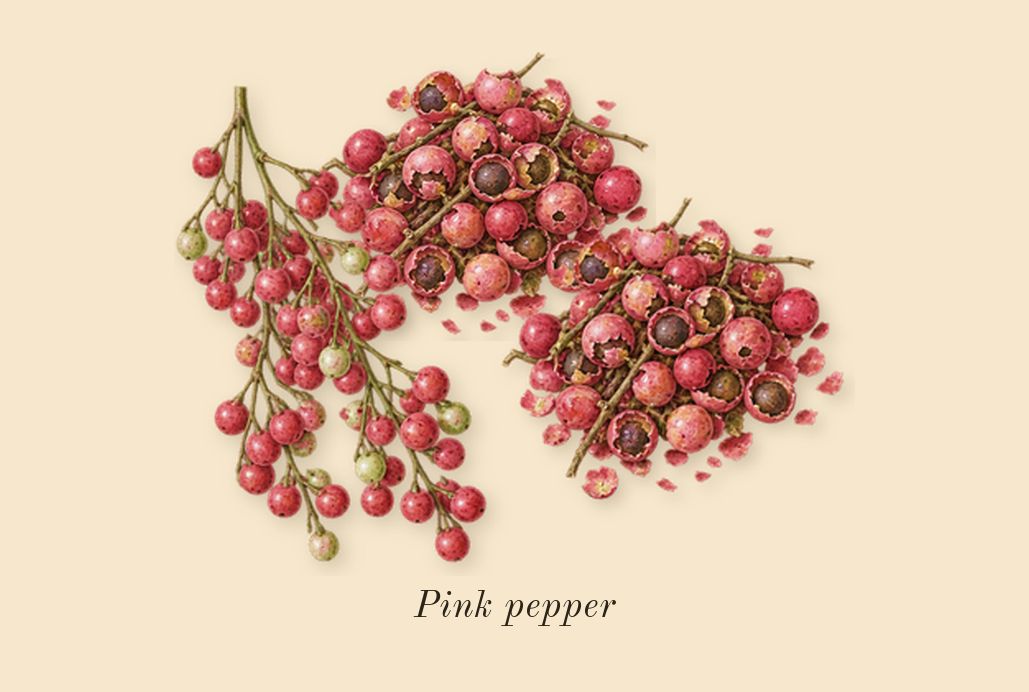 Fleur de Peau, top notes: Pink pepper