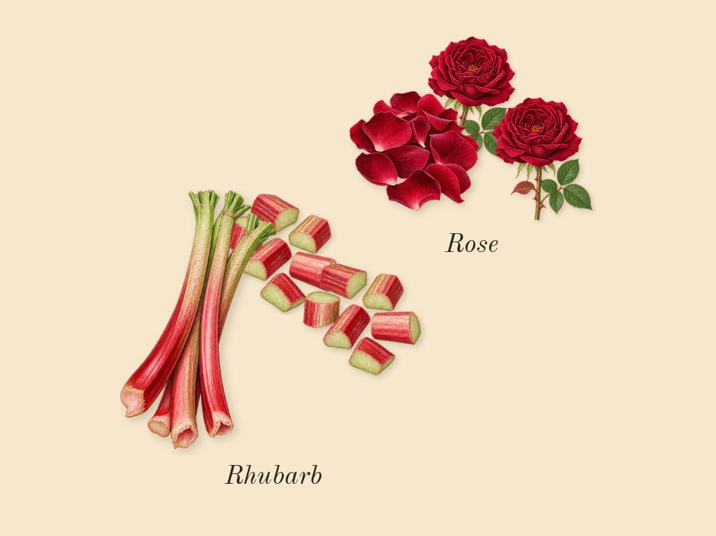 Lazulio, heart: Rhubarb, Rose