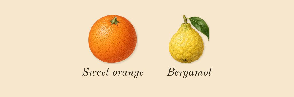 Lazulio, top notes: Bergamot, Sweet orange
