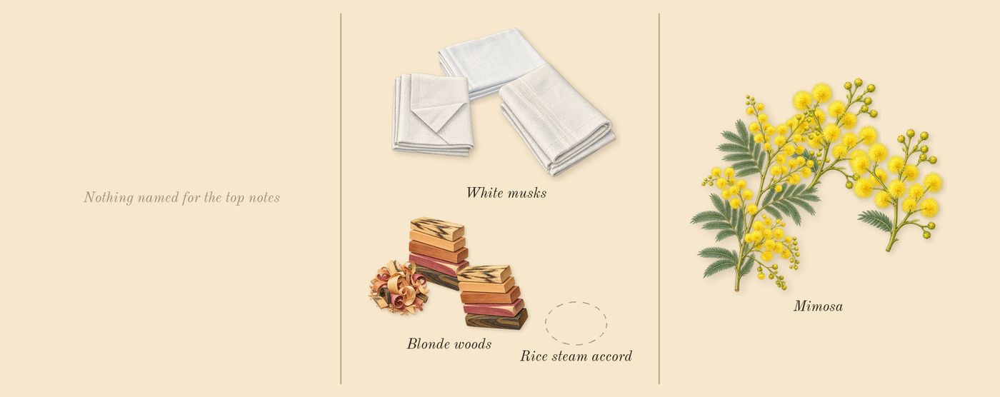 L'Eau Papier’s scent picture, a draft: white musks, mimosa, blonde woods drawn so far; dashed outlines where nothing is drawn yet