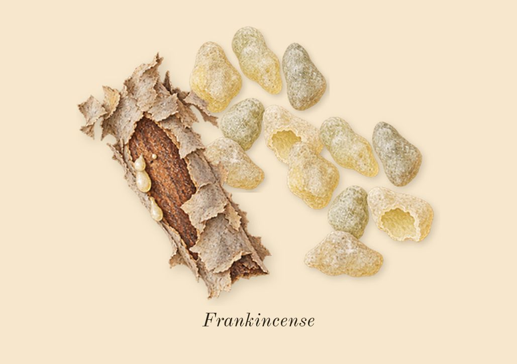 Opsis, heart: Frankincense