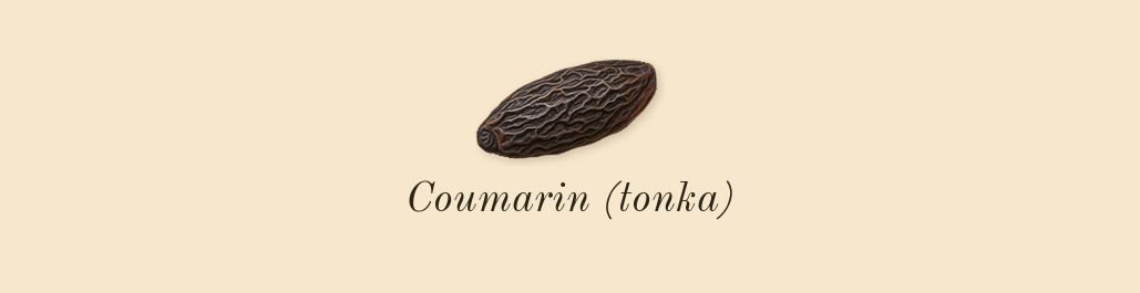 Philosykos, dry-down: Coumarin (tonka)