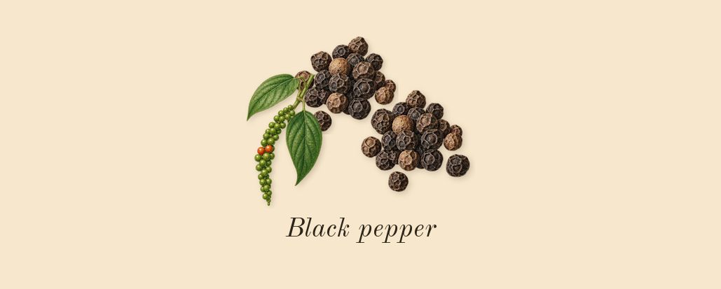 Philosykos, top notes: Black pepper