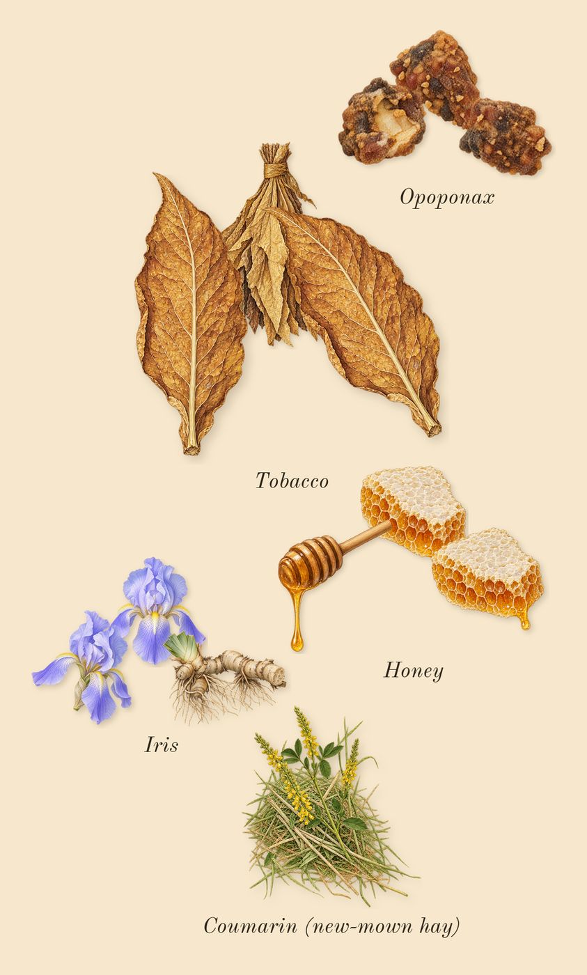 Volutes, dry-down: Honey, Opoponax, Iris, Tobacco, Coumarin (new-mown hay)