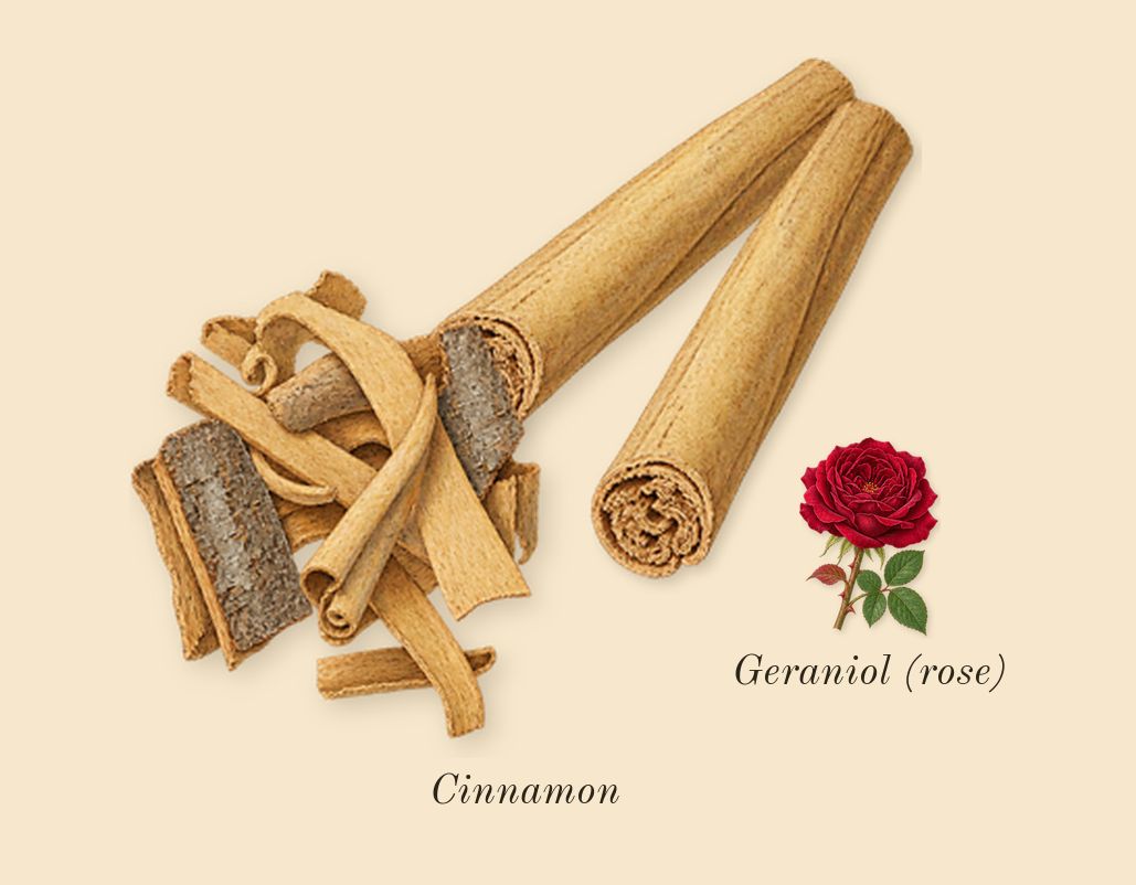 Volutes, heart: Cinnamon, Geraniol (rose)