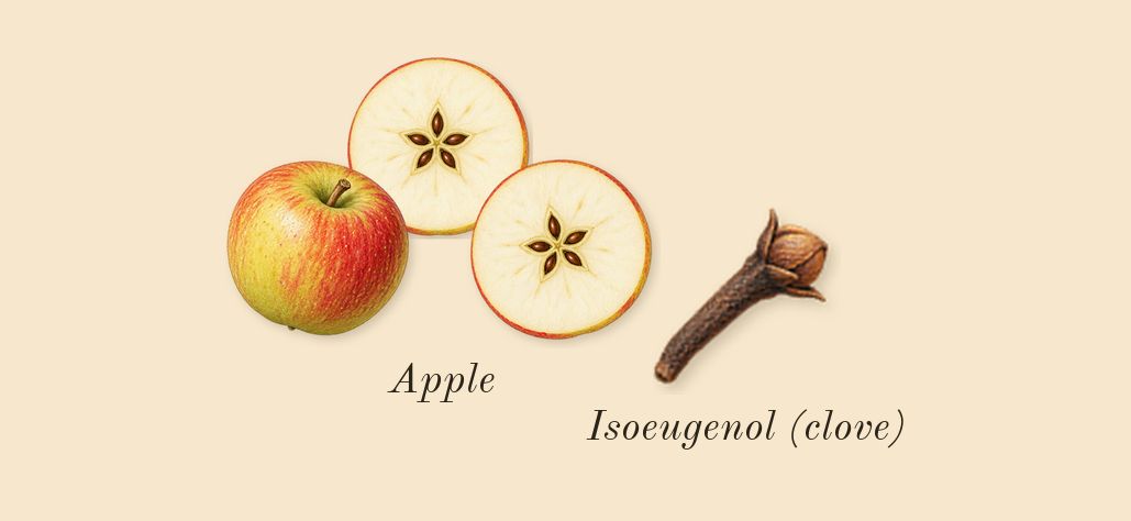 Be Delicious, heart: Apple, Isoeugenol (clove)