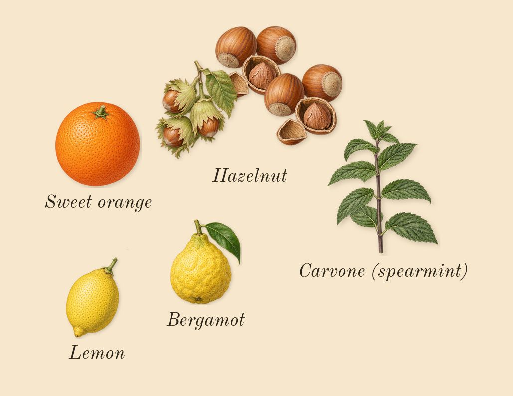 Devotion, top notes: Hazelnut, Sweet orange, Lemon, Bergamot, Carvone (spearmint)