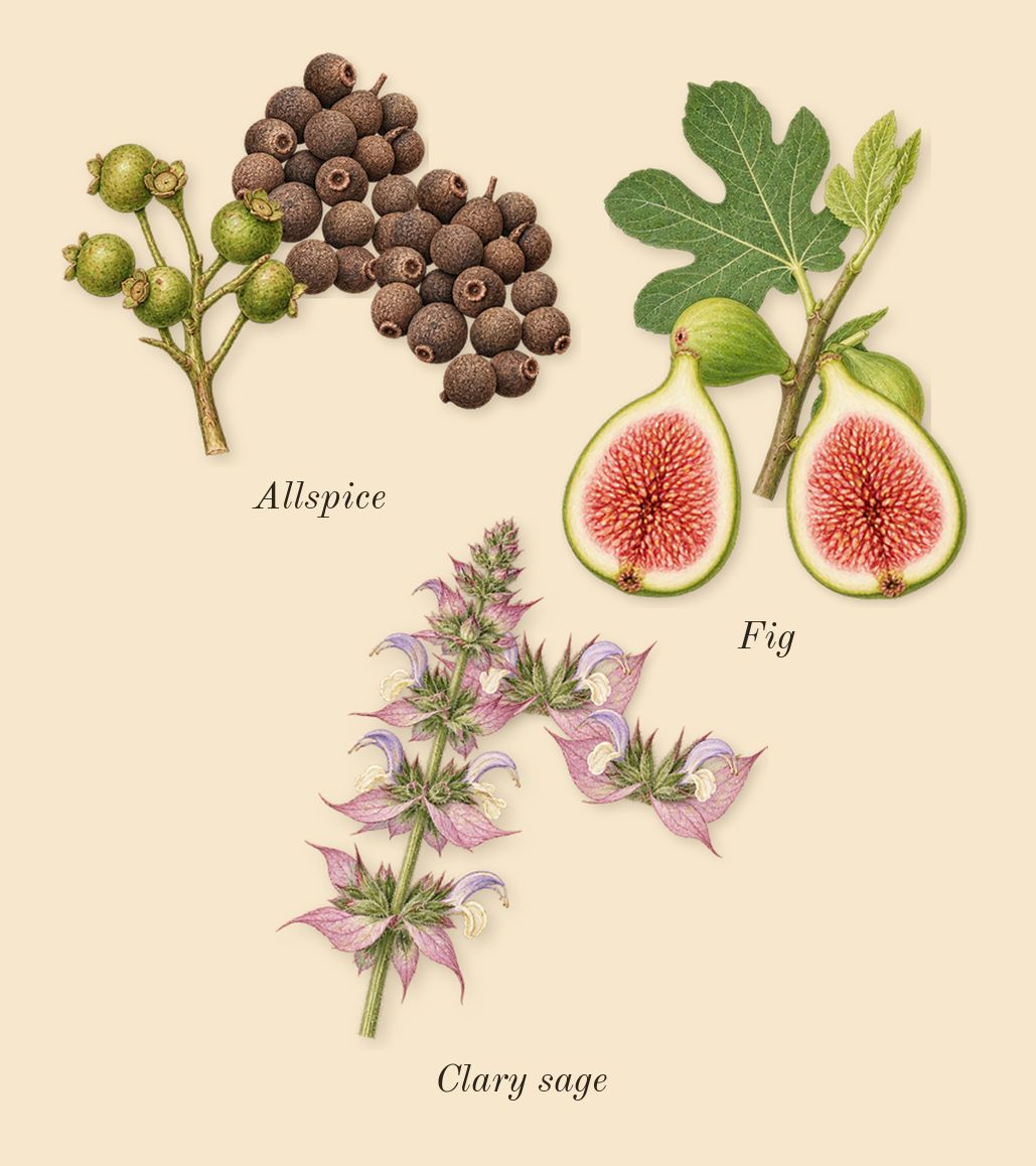 K, heart: Fig, Allspice, Clary sage