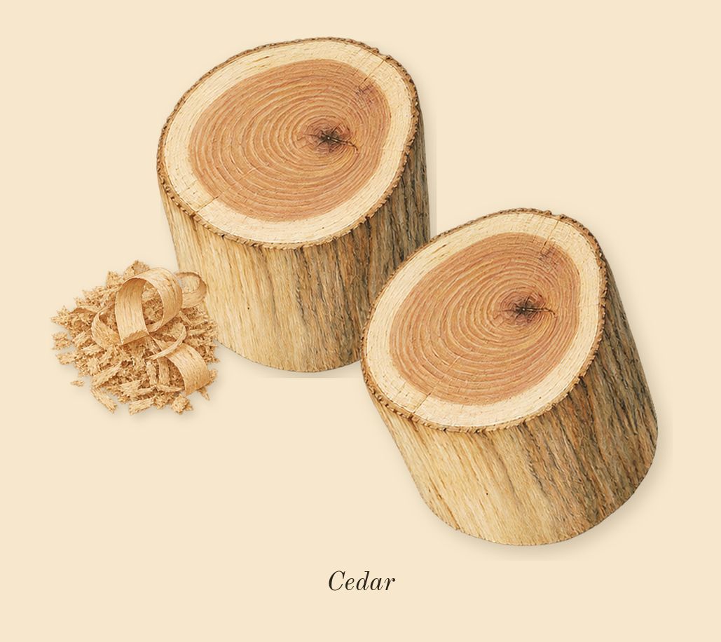 Light Blue, dry-down: Cedar