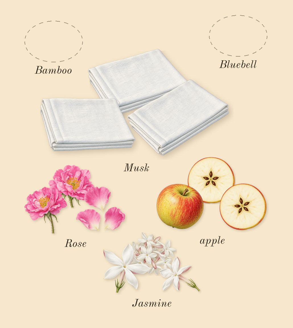Light Blue, heart: apple, Bluebell, Bamboo, Jasmine, Rose, Musk