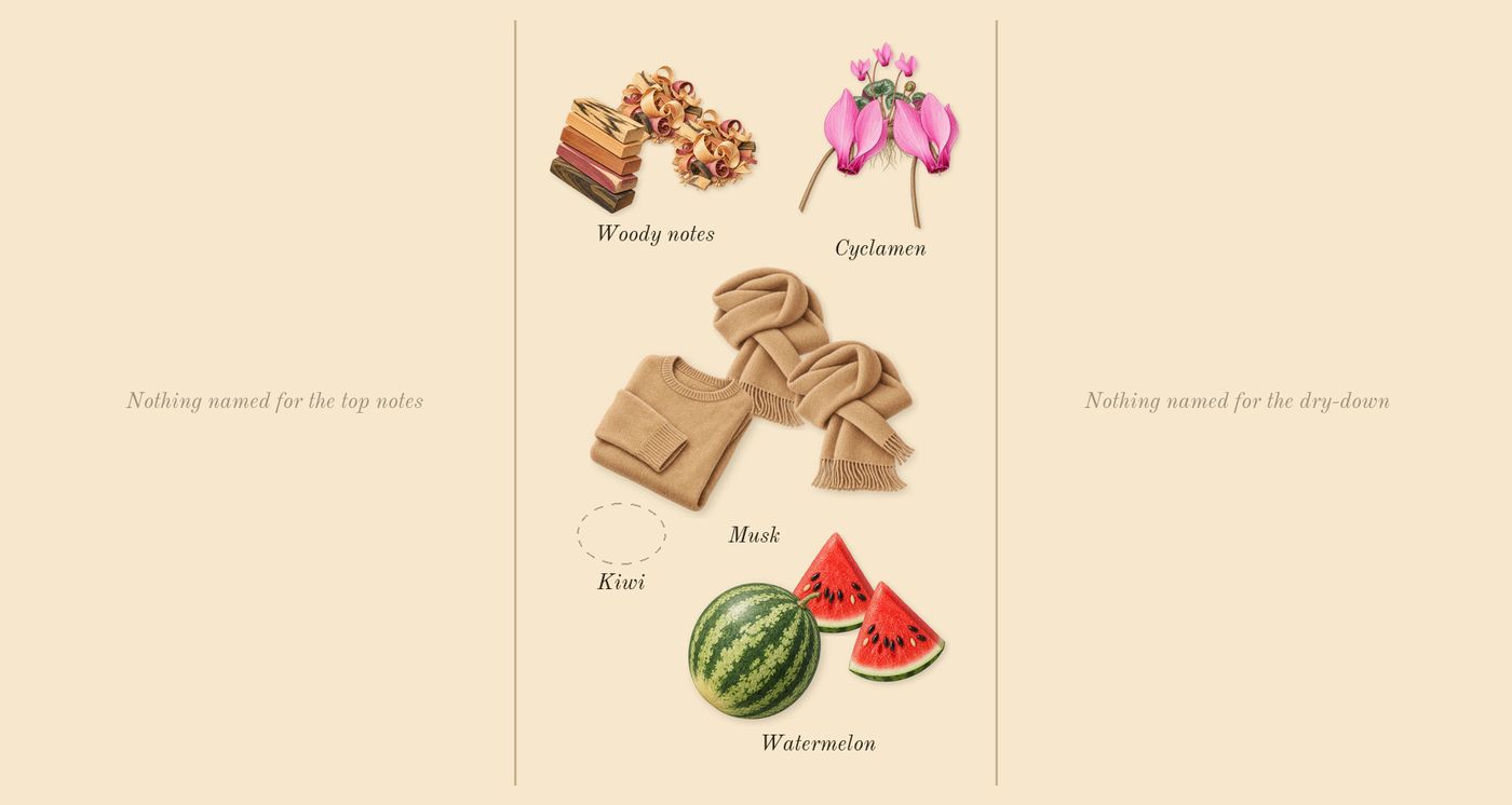 L'Impératrice’s scent picture, a draft: watermelon, cyclamen, woody notes, musk drawn so far; dashed outlines where nothing is drawn yet
