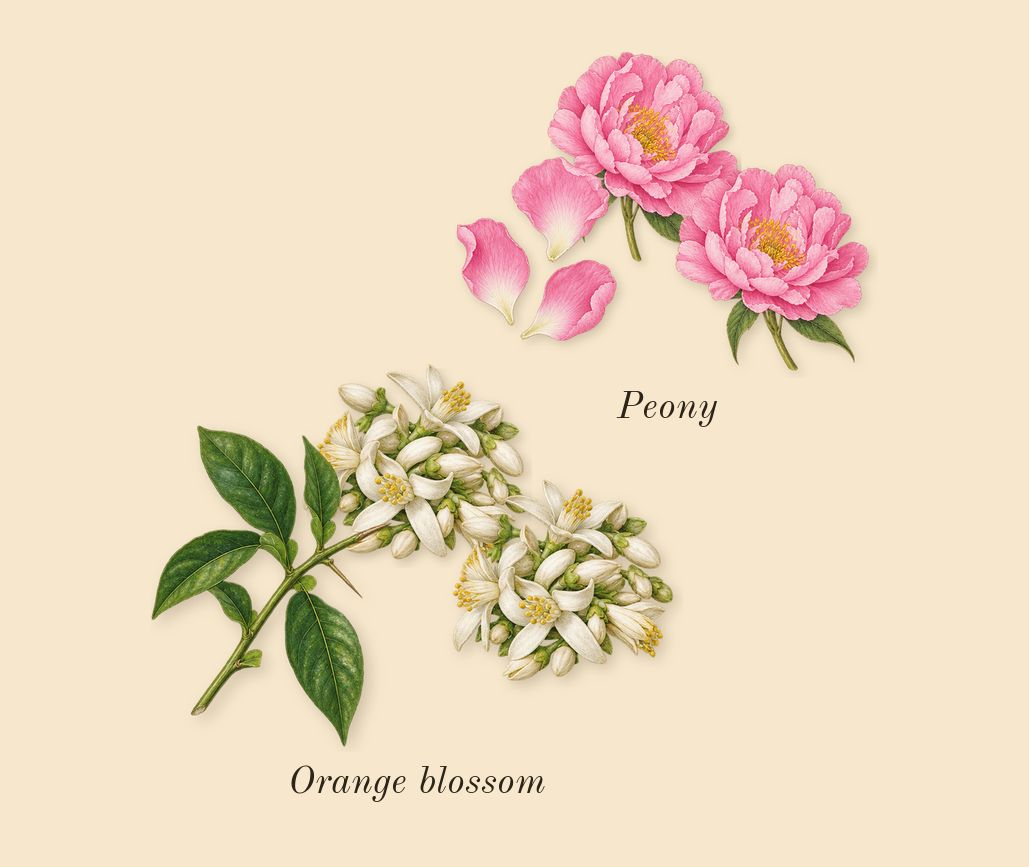 My Devotion, heart: Peony, Orange blossom