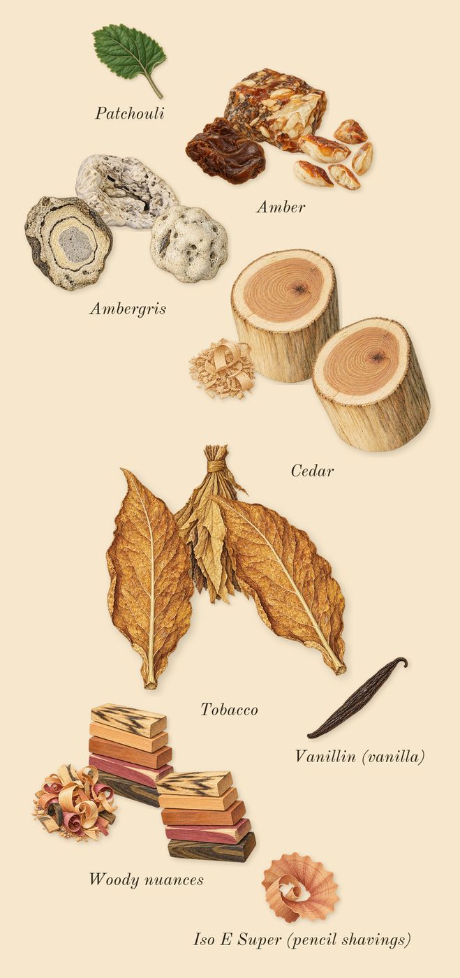 The One for Men, dry-down: Tobacco, Amber, Woody nuances, Cedar, Ambergris, Patchouli, Iso E Super (pencil shavings), Vanillin (vanilla)