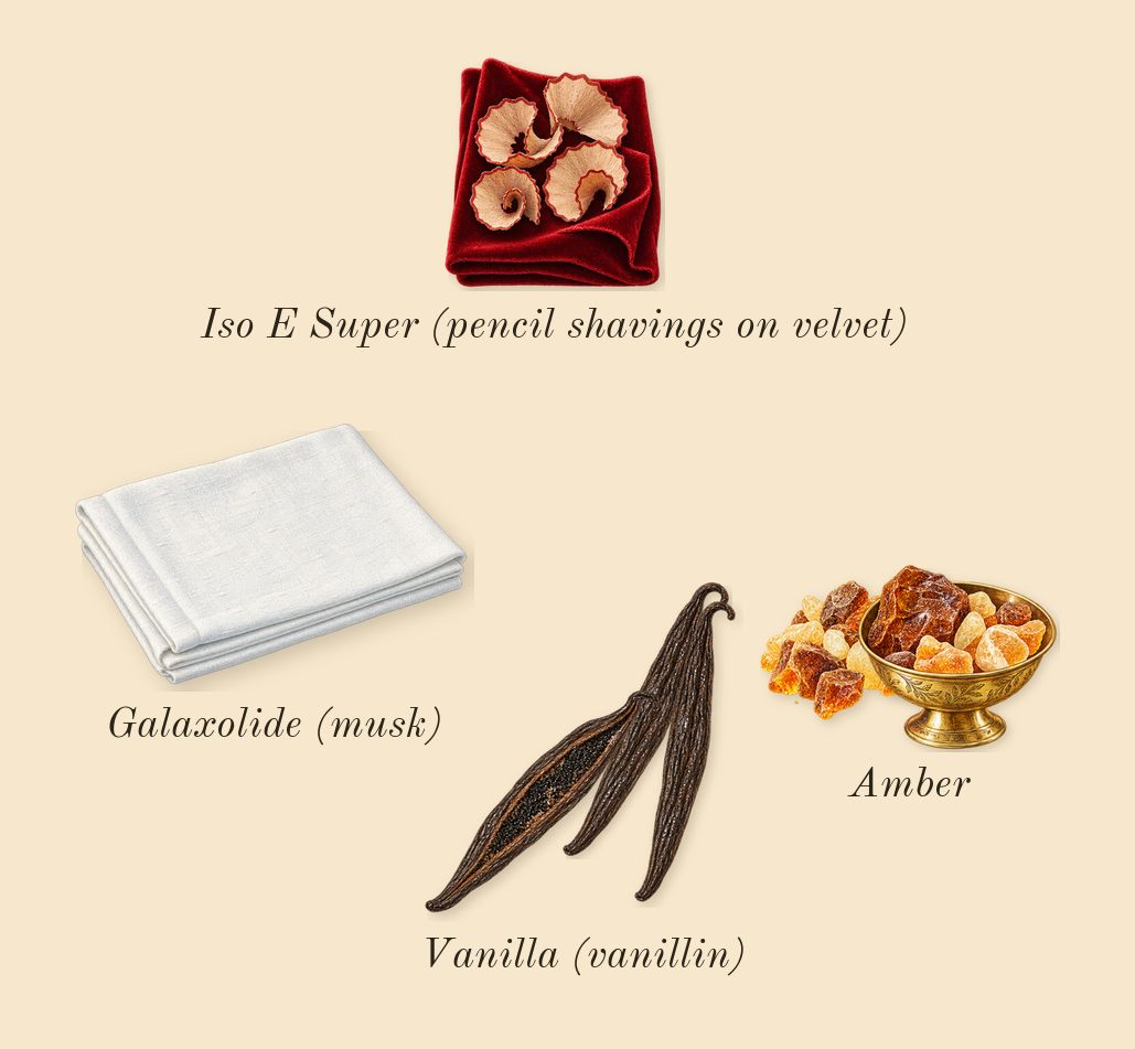 The One Intense, dry-down: Vanilla (vanillin), Amber, Galaxolide (musk), Iso E Super (pencil shavings on velvet)