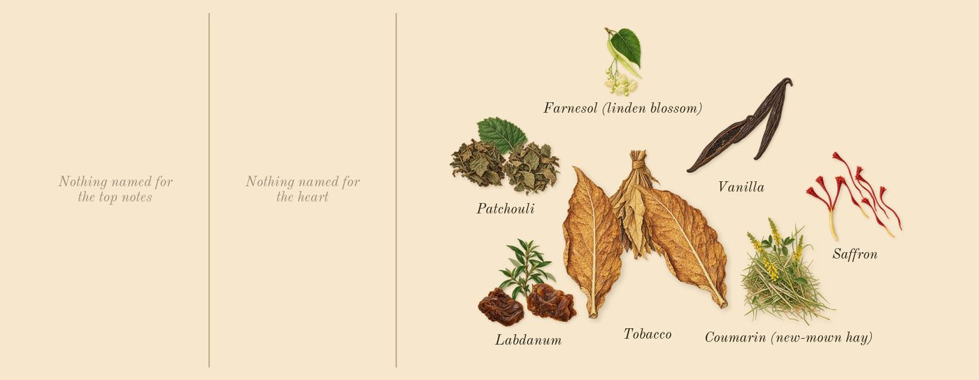 Velvet Zafferano’s scent picture, a draft: saffron, tobacco, patchouli, vanilla, labdanum, coumarin (new-mown hay) drawn so far; dashed outlines where nothing is drawn yet