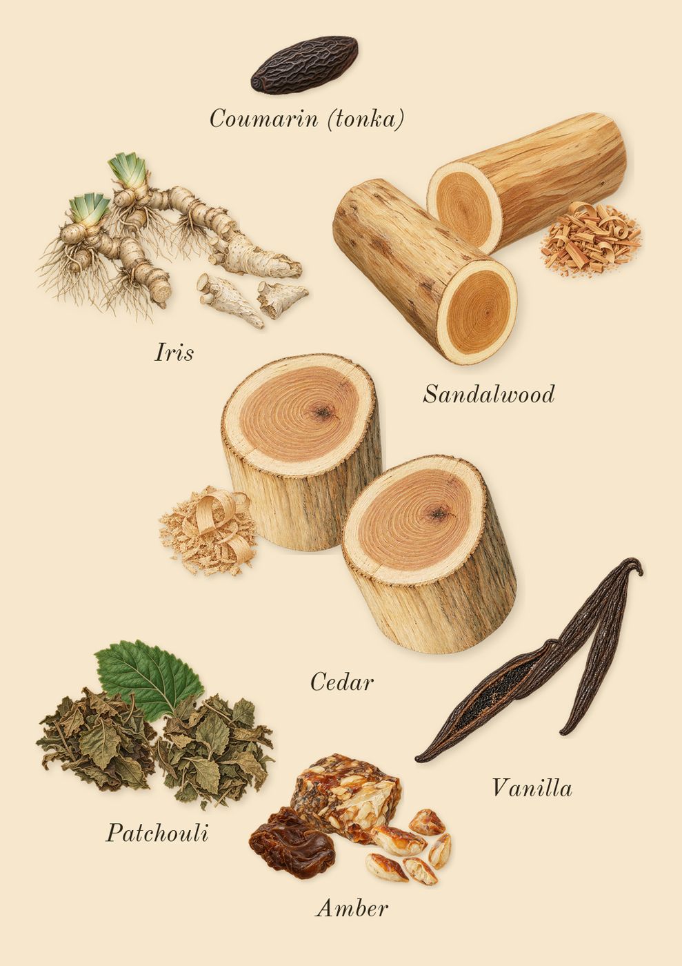 Cashmere Mist, dry-down: Sandalwood, Iris, Amber, Vanilla, Cedar, Patchouli, Coumarin (tonka)