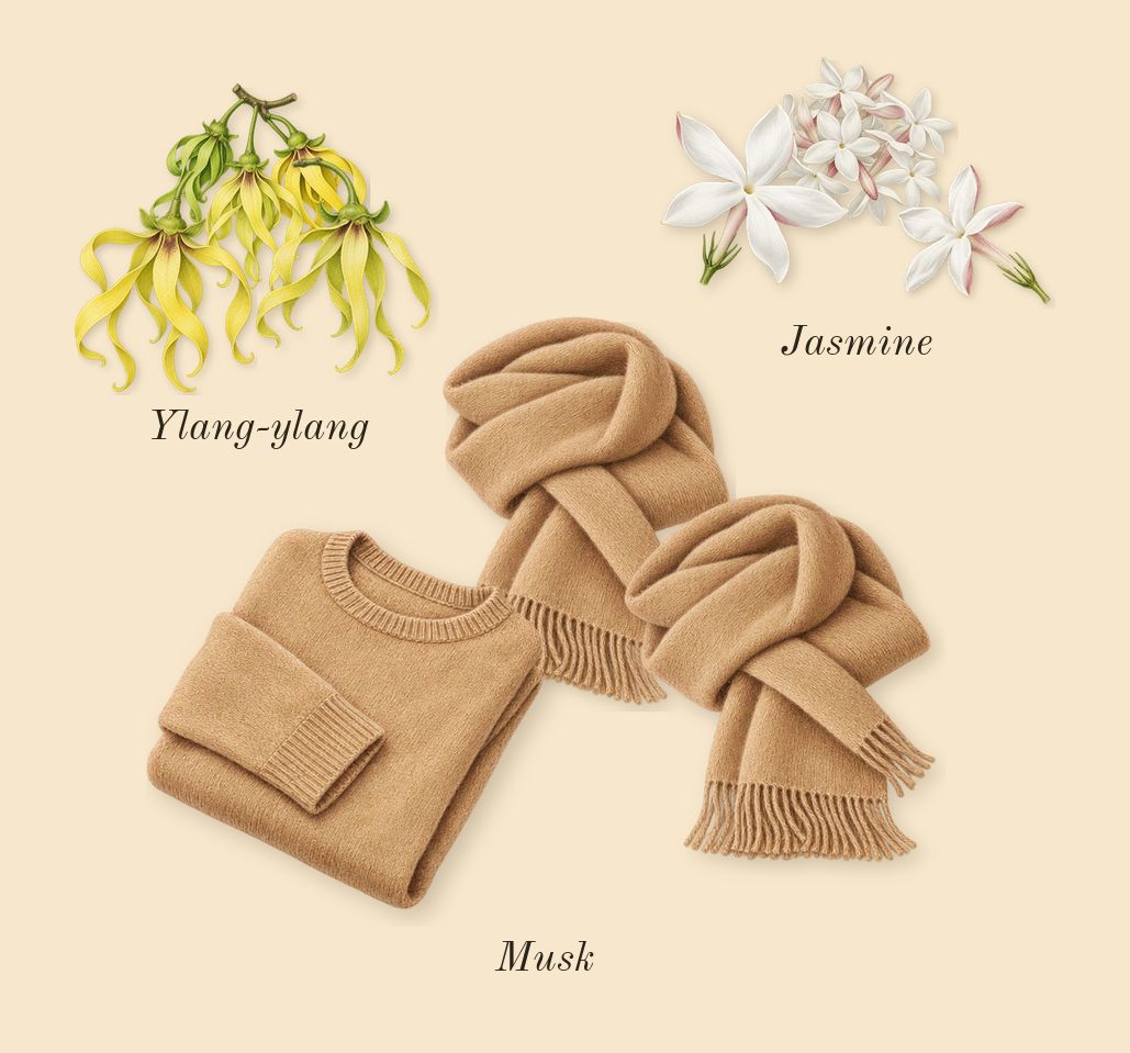 Cashmere Mist, heart: Jasmine, Ylang-ylang, Musk