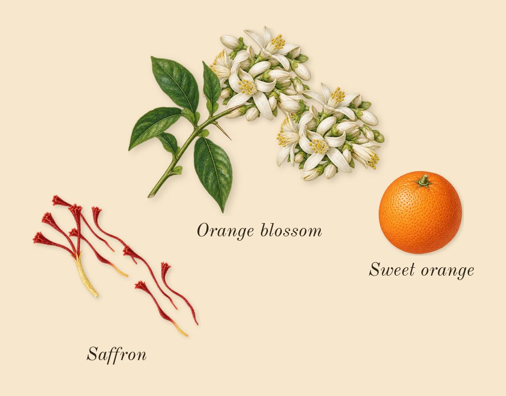 Ambery Saffron, top notes: Saffron, Orange blossom, Sweet orange